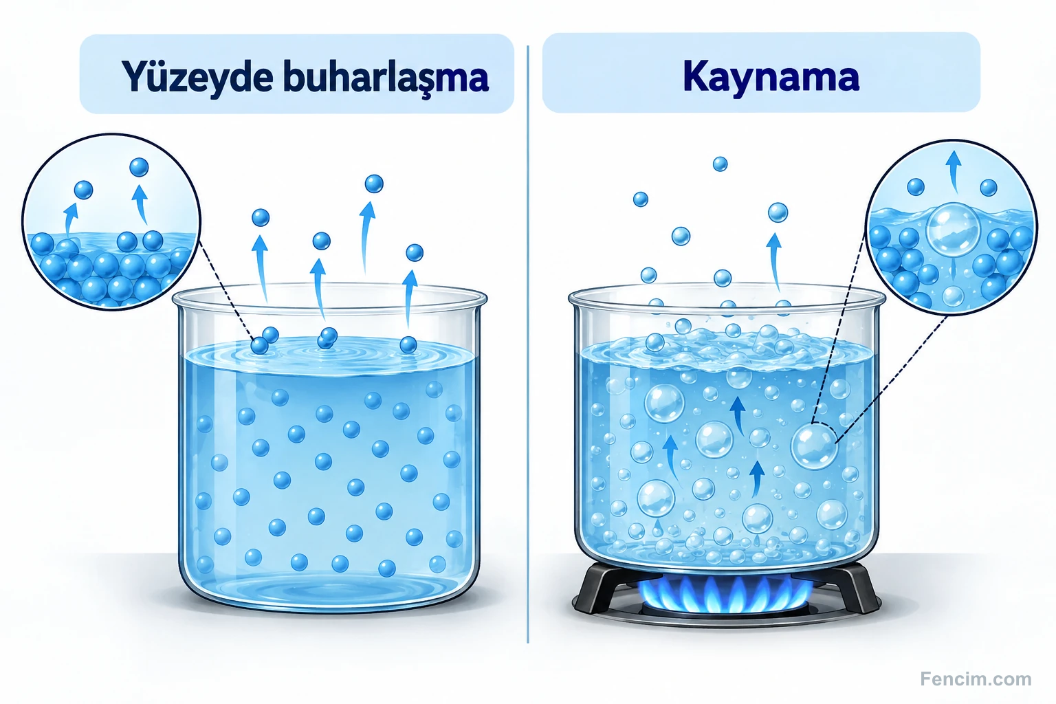 Buharlaşmanın yüzeyde, kaynamanın ise sıvının içinde de buhar kabarcıklarıyla gerçekleşmesi.
