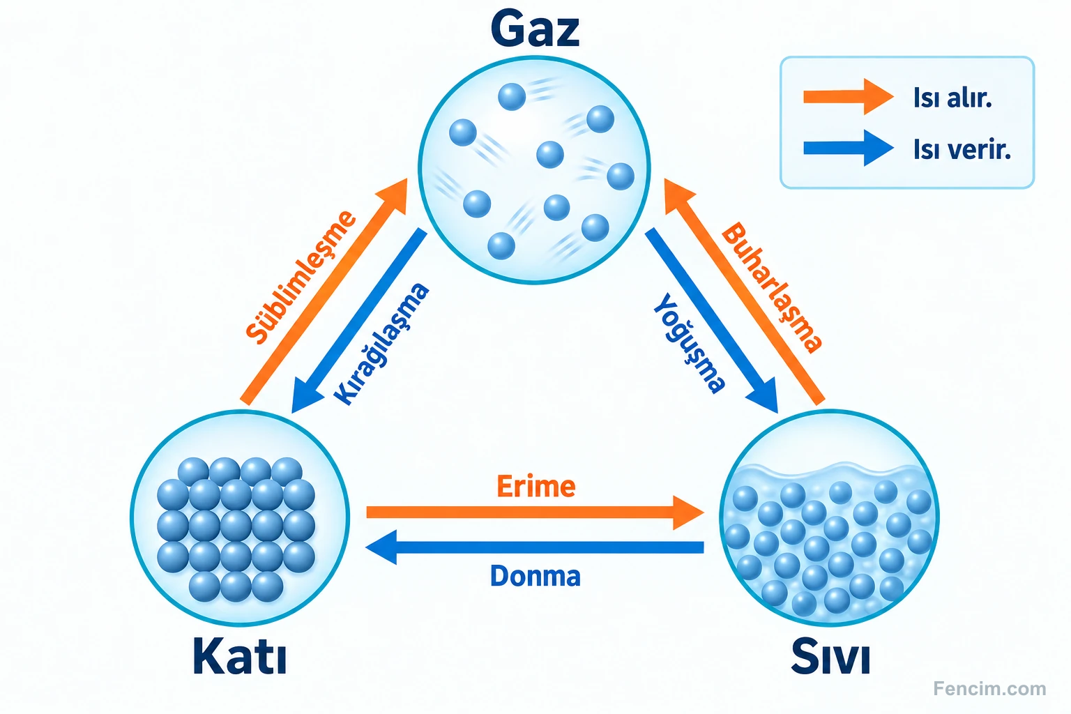 Katı, sıvı ve gaz arasındaki altı hâl değişiminin yönleri ve ısı alma-verme ilişkisi.
