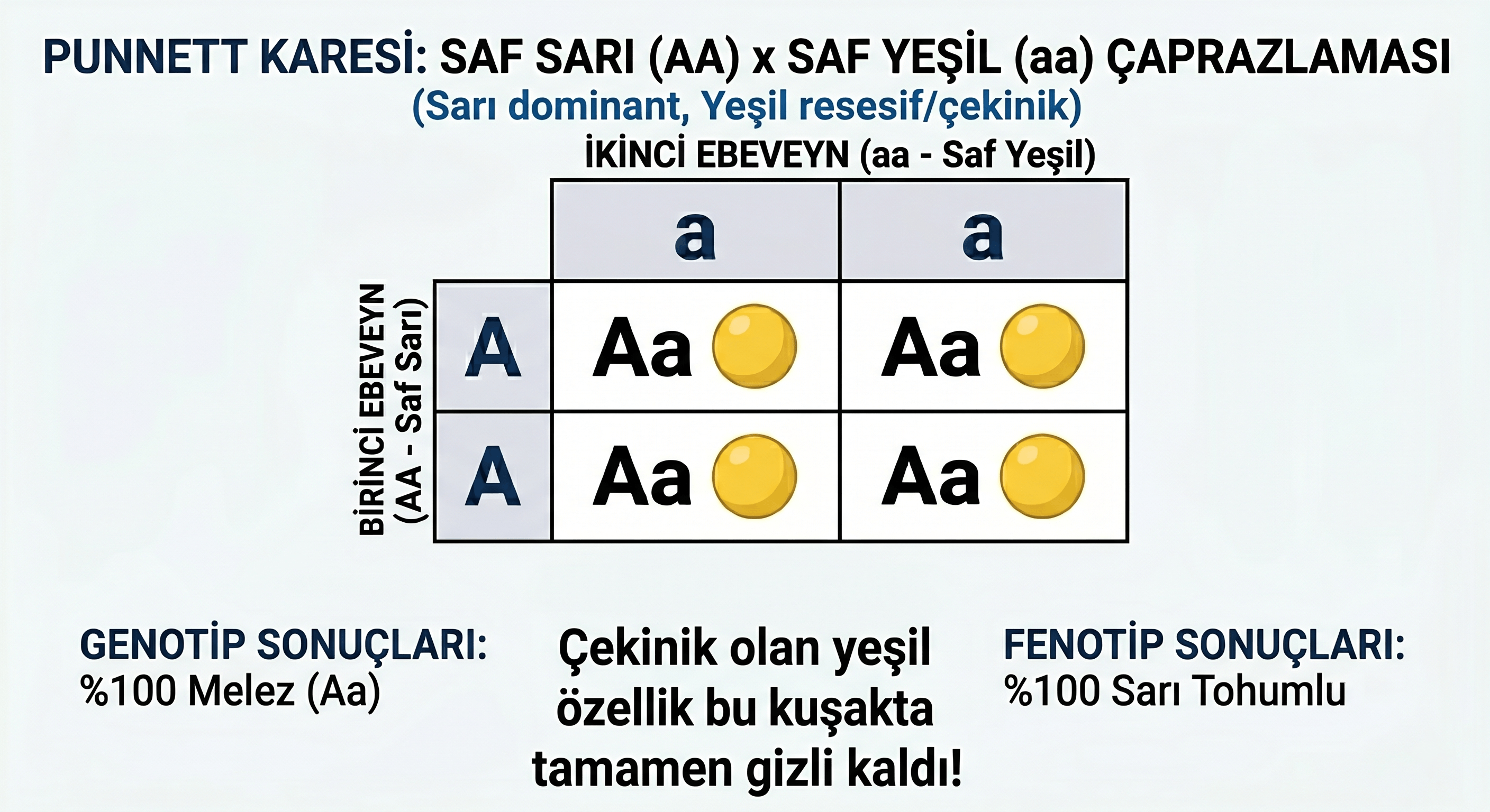 kalitim-4
