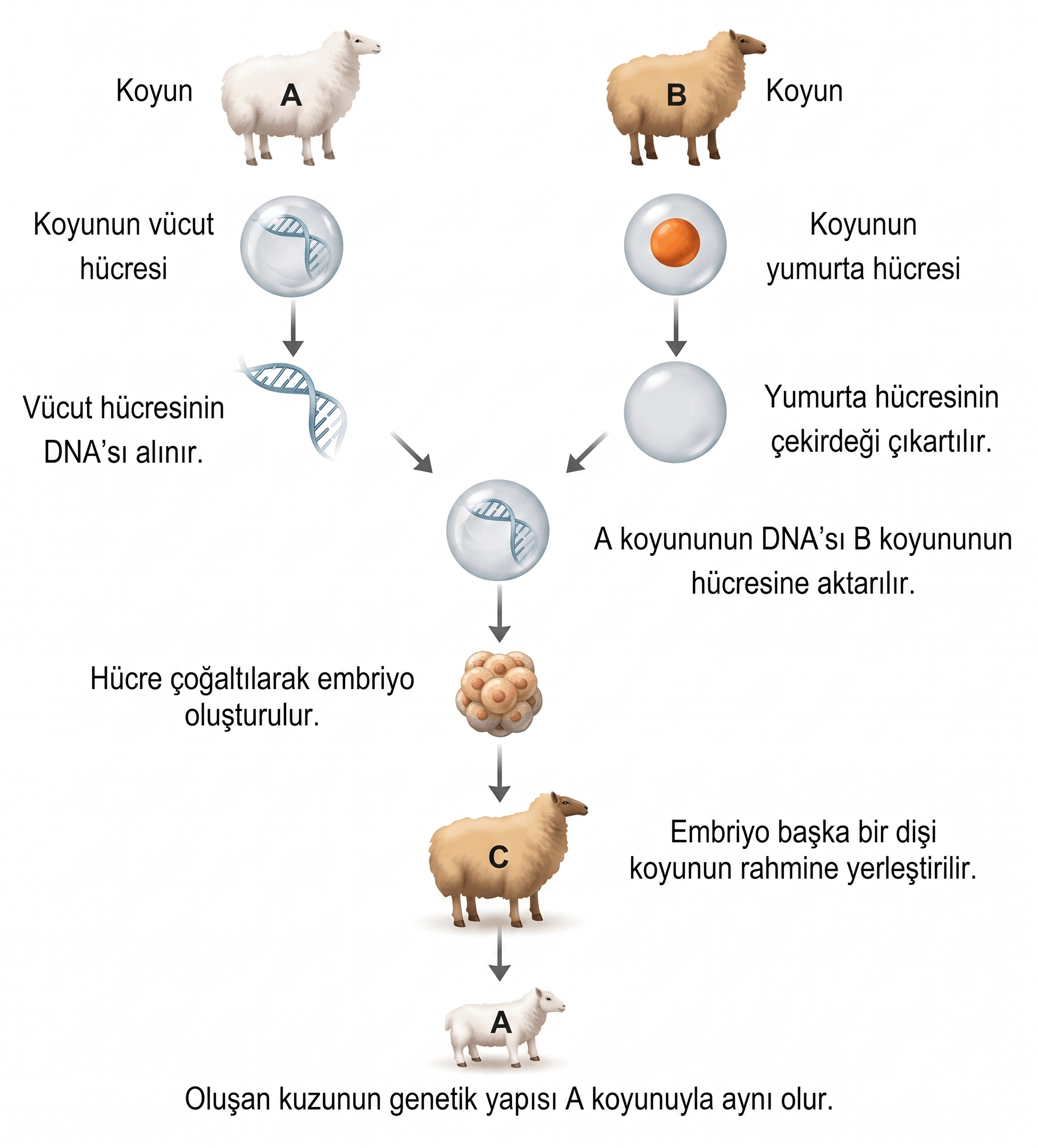 biyoteknoloji-1