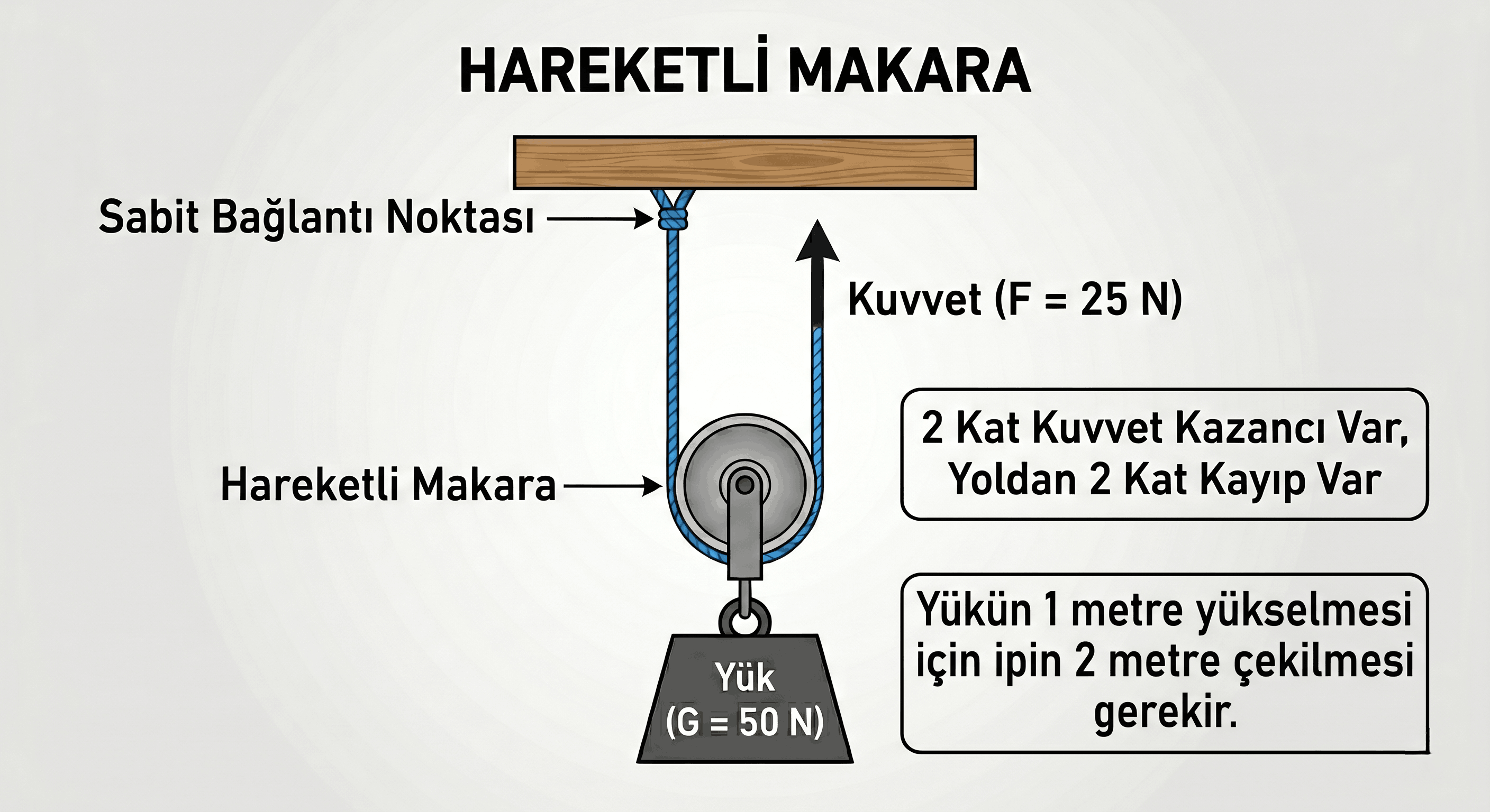 makaralarvepalangalar-2