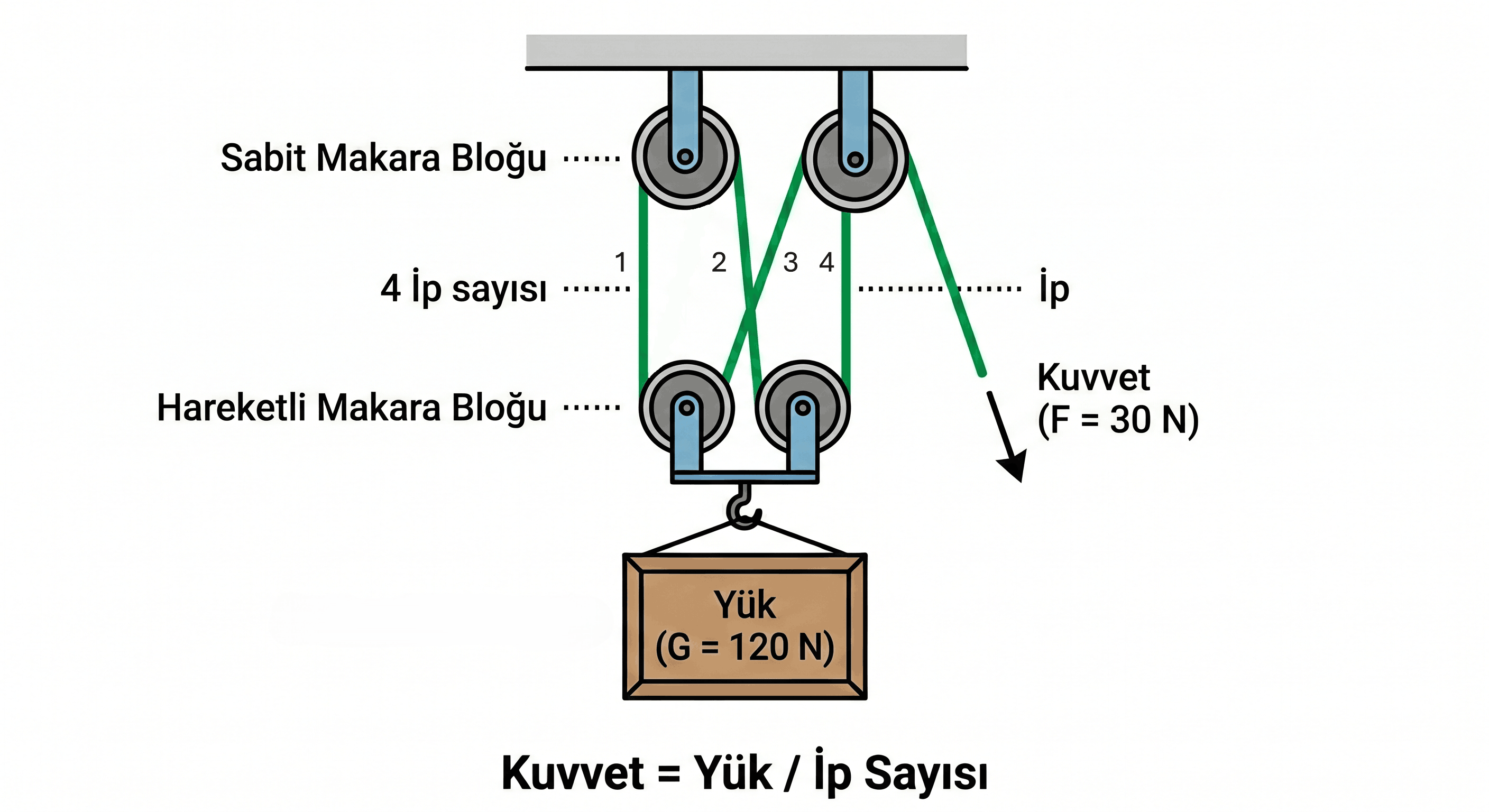 makaralarvepalangalar-3
